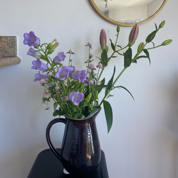 Vintage Red Wing water pitcher with ice lips - Picture 2 of 12